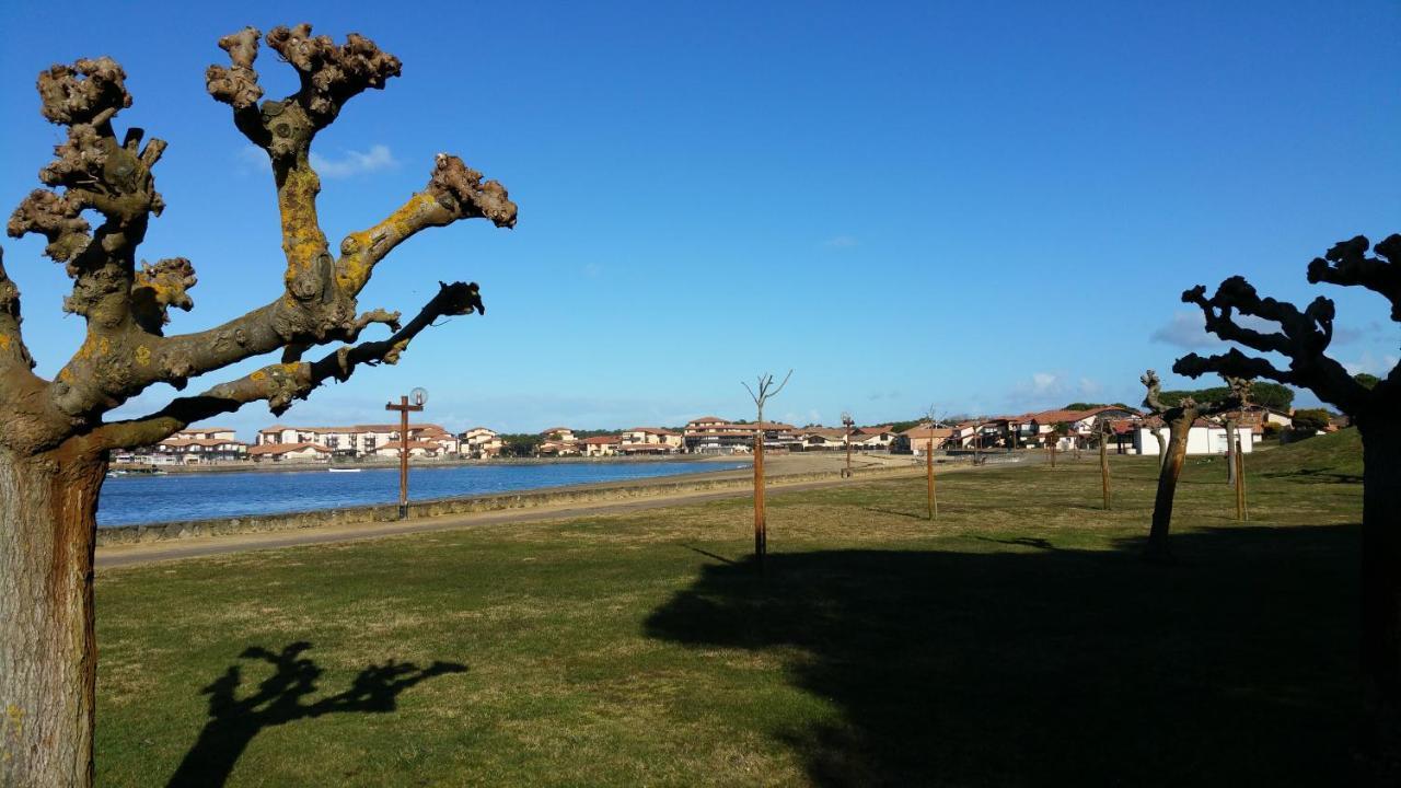 Le 322 Entre Lac Et Ocean Vieux-Boucau-les-Bains Esterno foto